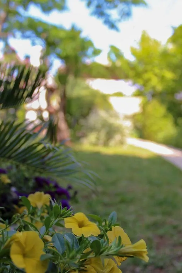 Apartments Hrabar Trogir